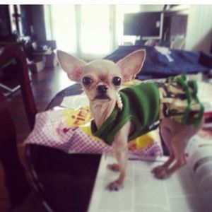 Meet your Posher, Chi